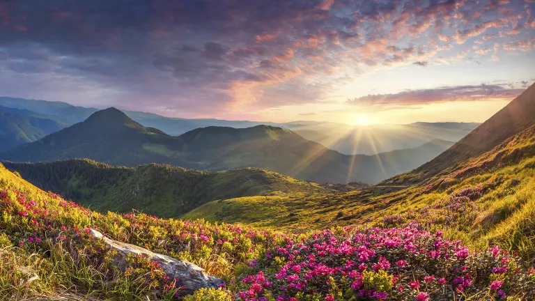 Pour rendre au monde sa grandeur !