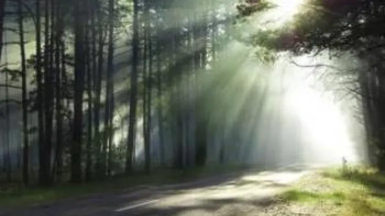 La planète Terre survivra et prospérera !