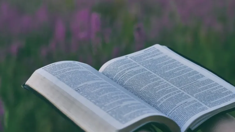 Une Bible avec un champs de fleurs en arrière-plan