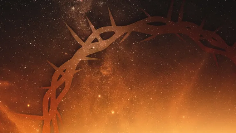 Une couronne d'épines