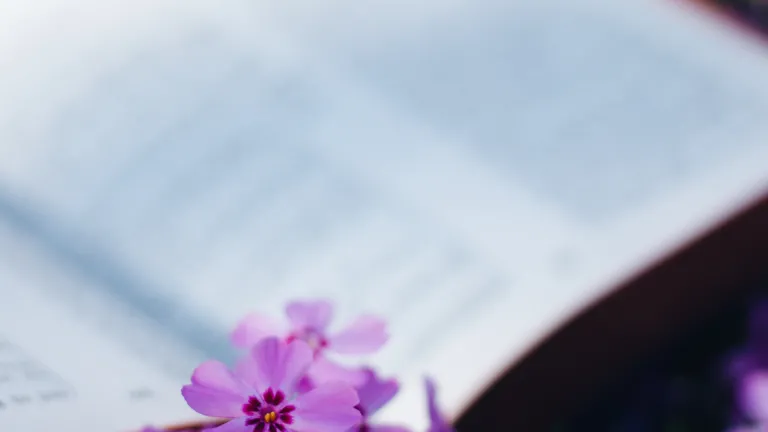 Une Bible avec des fleurs