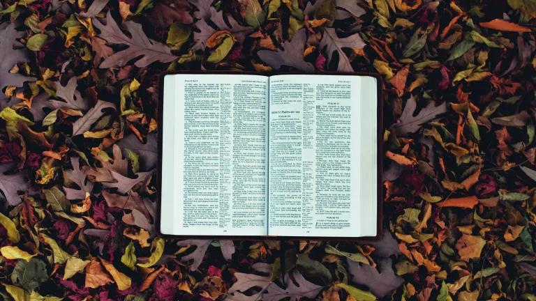 Une Bible sur des feuilles d'automne