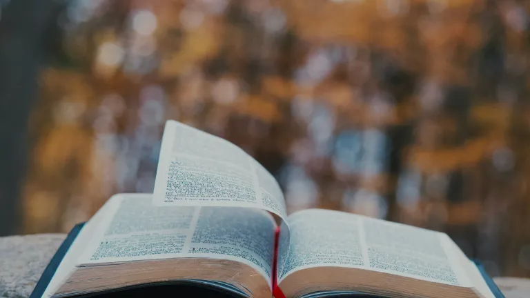 Une Bible sur un rocher dehors ; une page s'élève dans le vent