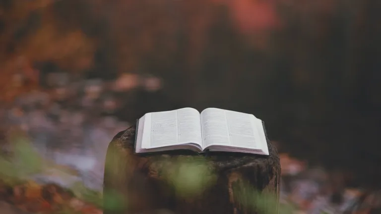 Une Bible sur un rondin à côté d'un lac