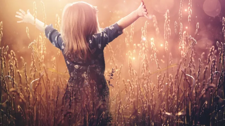 Une petite fille dans un champs de blé