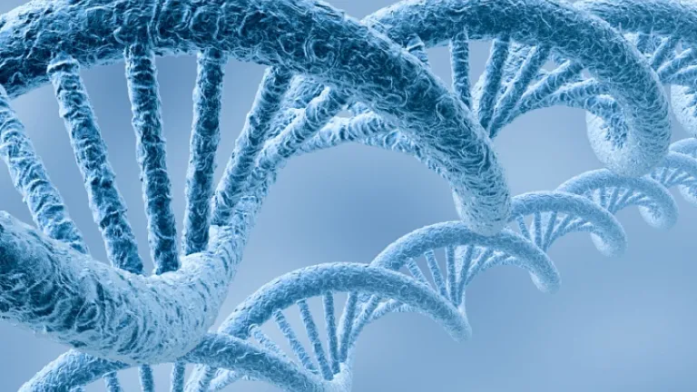 Les découvertes sur la complexité et le langage minutieusement détaillé de l’ADN soulèvent beaucoup de questions troublantes quant à la théorie de l’Évolution. L’ADN