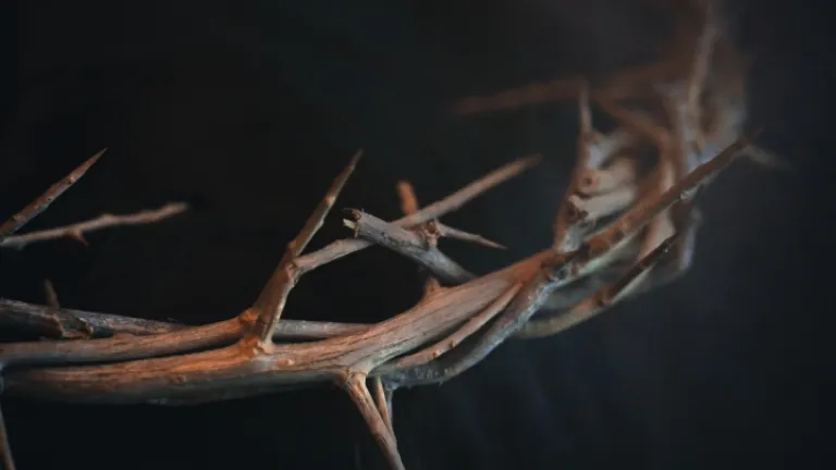 Une couronne d'épines