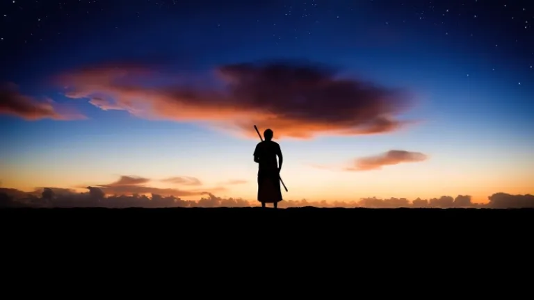 La Bible nous donne non seulement un aperçu formidable de Dieu et de Sa droiture, mais aussi des exemples remarquables de personnes qui ont marché fidèlement et diligemment avec Dieu. Une personne regardant le ciel nocturne.