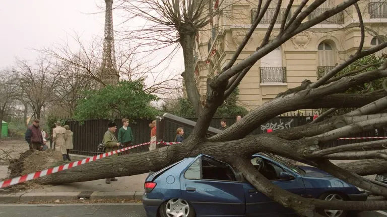 Les tempêtes Lothar et Martin
