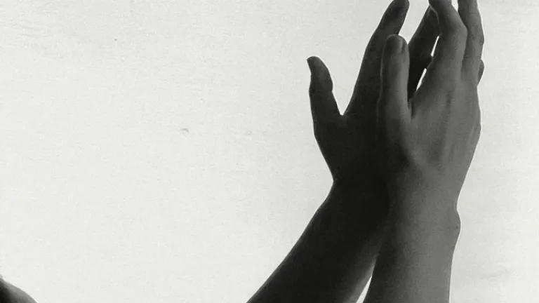 Une paire de mains en prière