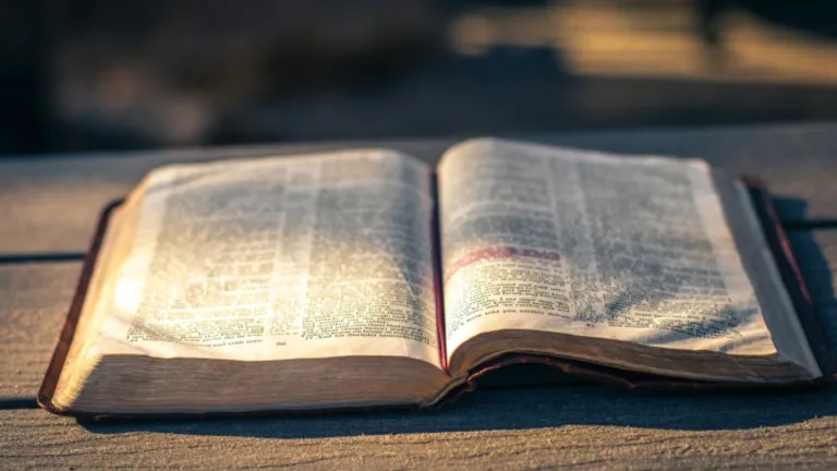 Prêcher l’Évangile pour servir de témoignage