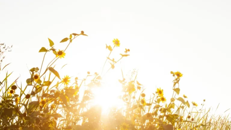 Un amour qui resplendit