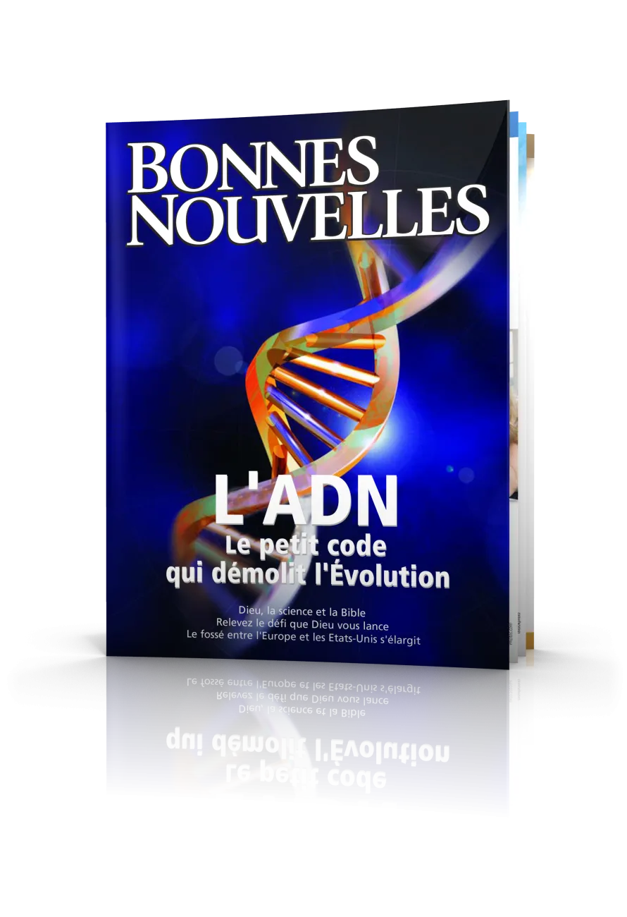 Bonnes Nouvelles juillet-août 2006