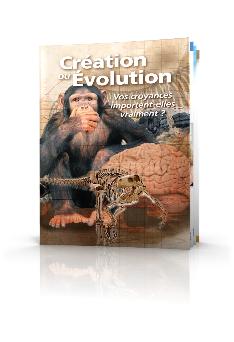 Création ou Évolution