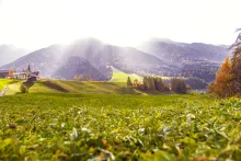 Les jours saints bibliques : plan divin de paix pour la Terre