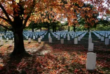 Un cimetière avec de nombreuses pierres tombales