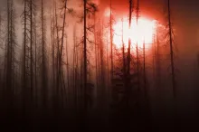 La destruction du royaume de Satan
