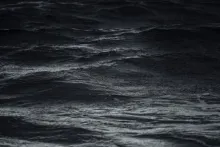Des vagues sombres
