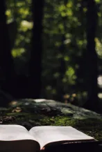 Une Bible dans la forêt