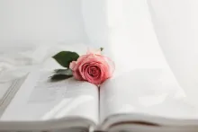 Une Bible avec une rose dessus