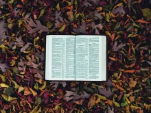 Une Bible sur des feuilles d'automne