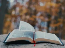 Une Bible sur un rocher dehors ; une page s'élève dans le vent