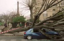 Les tempêtes Lothar et Martin