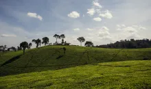 Kenya