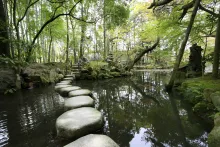 Des pierres pour traverser un petit étang.