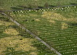 Le jugement du Grand Trône Blanc un mystère biblique expliqué !