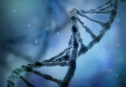 Évolution : un acte de foi