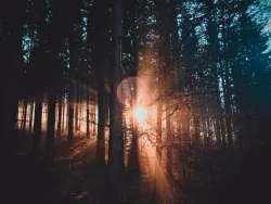 À en juger par les nombreux exemples de propriétés physiques soigneusement équilibrées dont nous sommes témoins, il est clair que Dieu a préparé notre Univers pour en faire un « berceau » pour la vie.