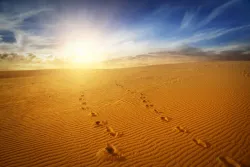 Des traces de pas dans le sable.