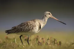Les découvertes scientifiques et la perspective biblique